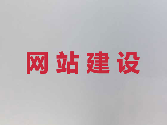 沈阳网站开发公司